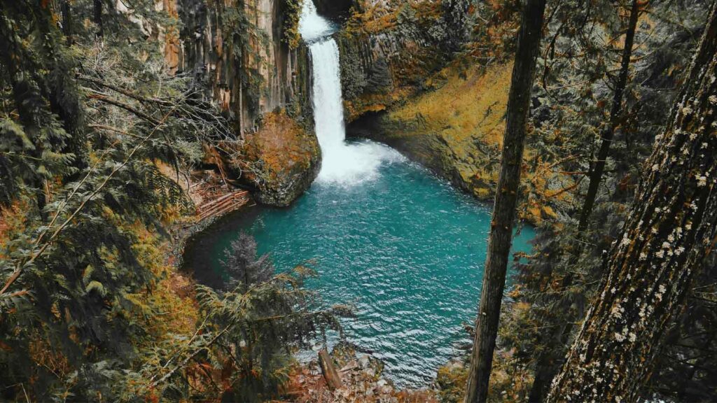 Kursunlu Waterfall cascading into natural pool surrounded by lush pine forest and walking trails in tranquil nature park