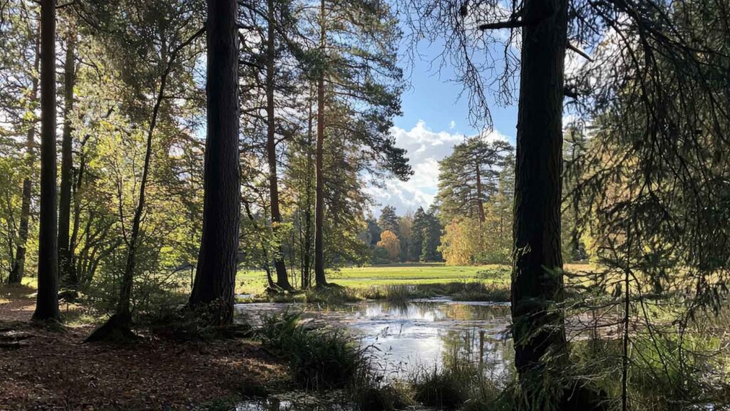 Belgrad forest district with lush gardens and Bosphorus views from hilltop